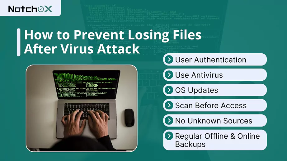 How to Prevent Losing Files After Virus Attack