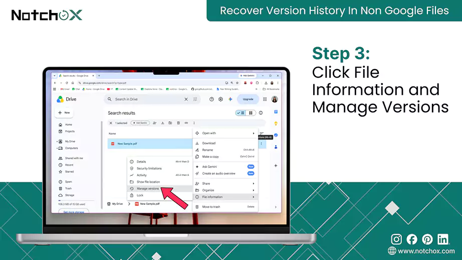 Click File Information and Manage Versions
