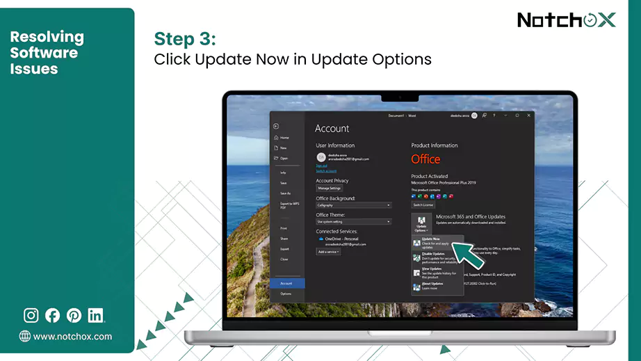 Click Update Now in Update Options