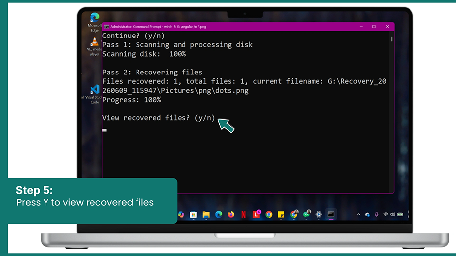 Press Y to view recovered files