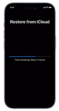 Backup restoring
