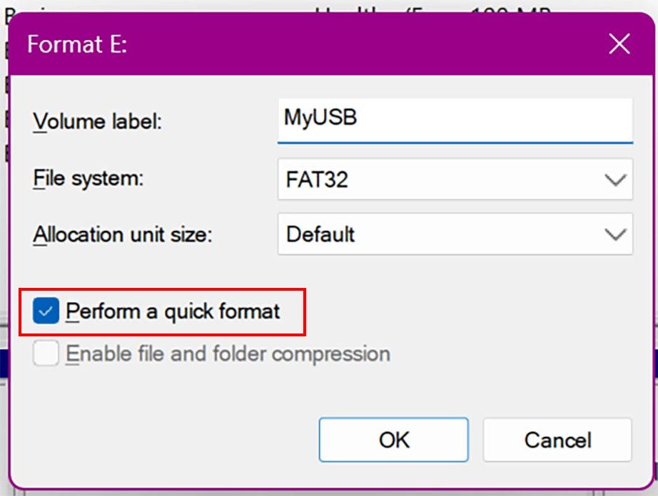 Check Perform a quick format checkbox