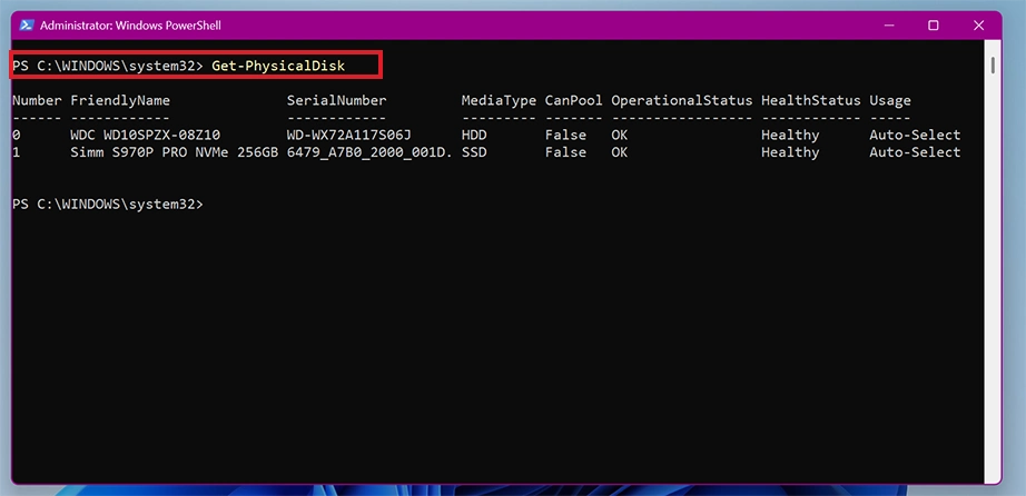 Get Physical Disk command