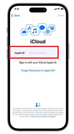 Log in using Apple ID