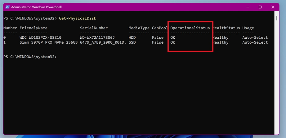PowerShell output