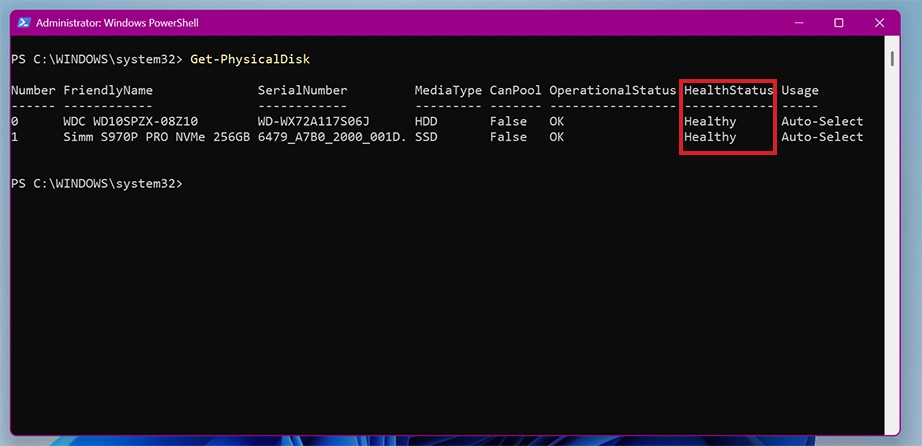 PowerShell output