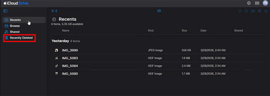 Recently Deleted tab