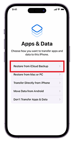Restore from iCloud Backup