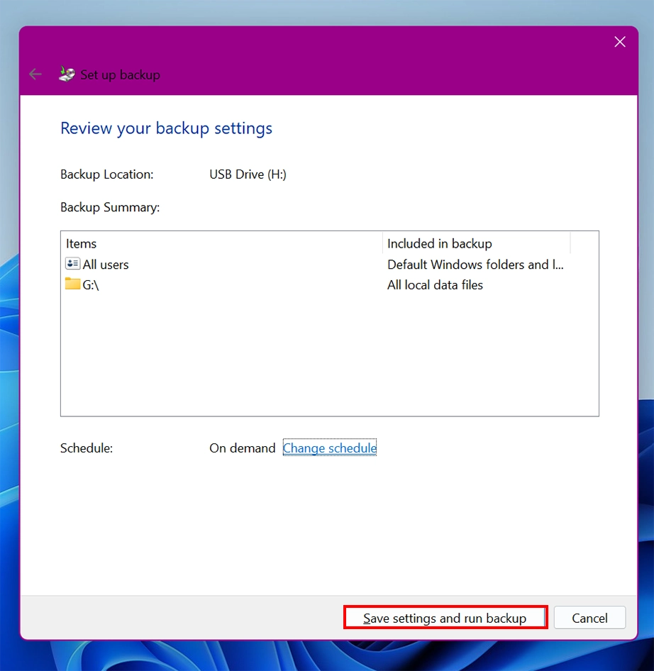 Save settings and run backup button