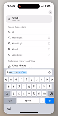 Search for icloud.com