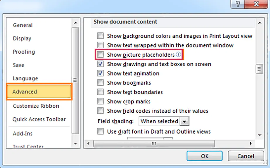 Uncheck Show Picture Placeholders