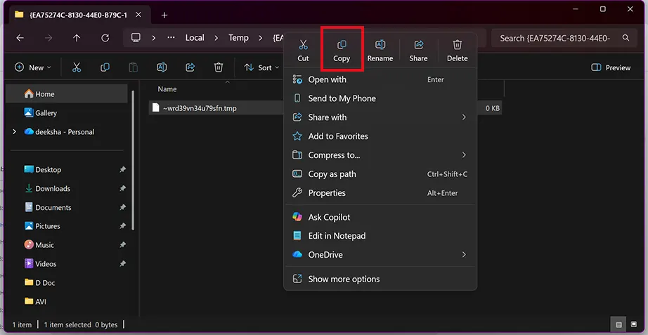 Copy the file